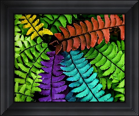 Framed Feel the Fern Print
