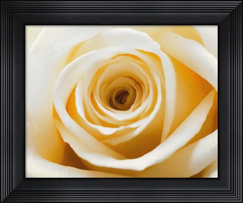 Framed Gold Rush Print