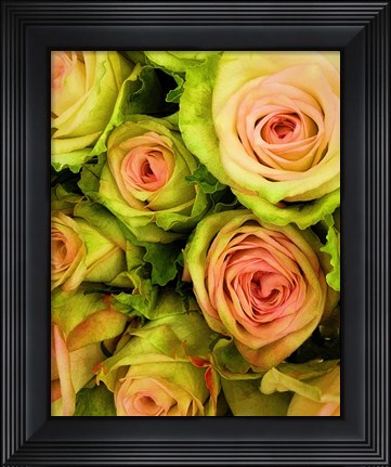 Framed Green &amp; Pink Rose Bouquet Print
