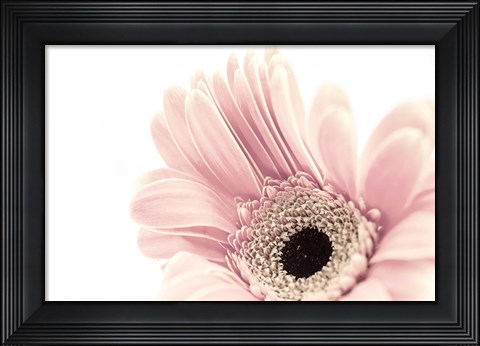 Framed Imaginary Garden Print