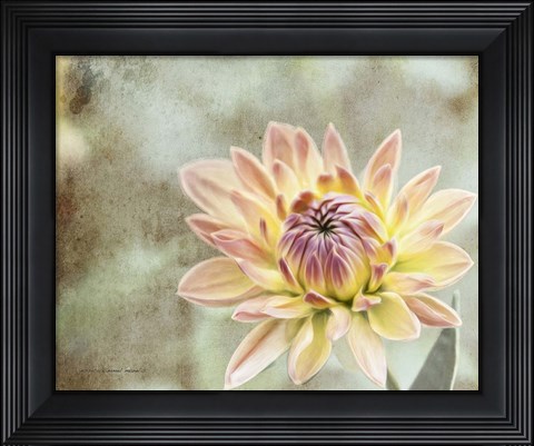 Framed Impression Flower Print