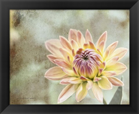 Framed Impression Flower Print