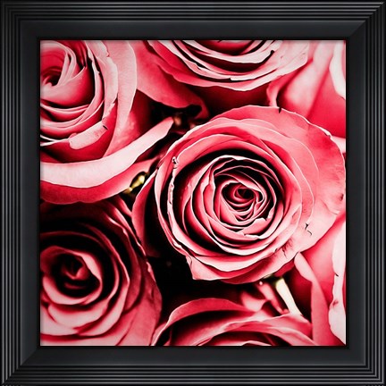 Framed Moonlight &amp; Roses Print