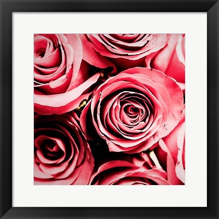 Framed Moonlight &amp; Roses Print