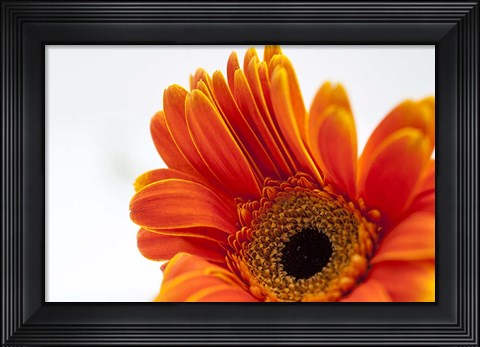 Framed Poetry Is Print