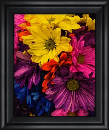 Framed Riot of Color Print
