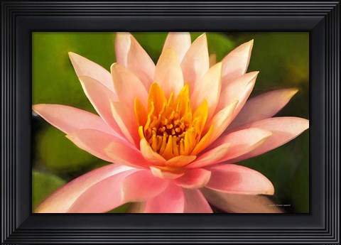 Framed Beauty of the World Print