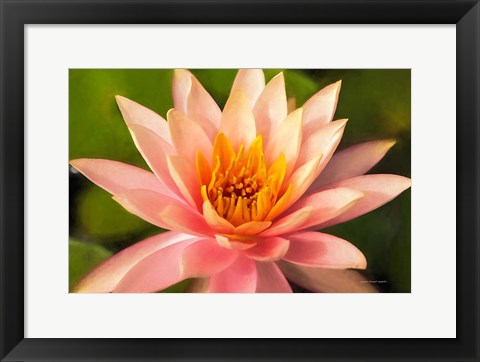 Framed Beauty of the World Print