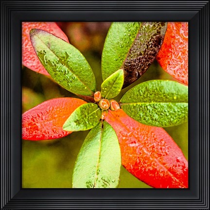 Framed Tis the Season Print