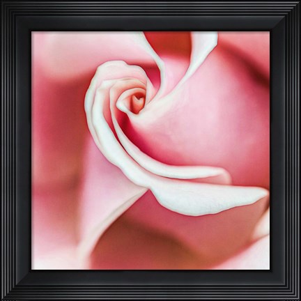 Framed Wholly Joyous Print