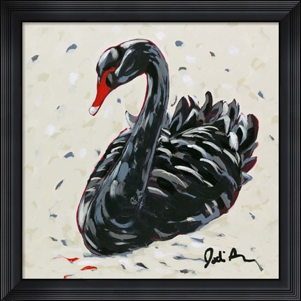 Framed Black Swan Print