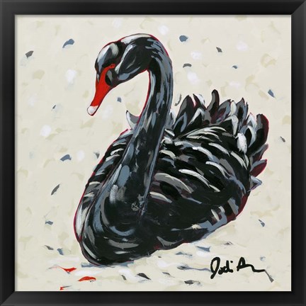 Framed Black Swan Print