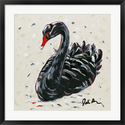 Framed Black Swan Print