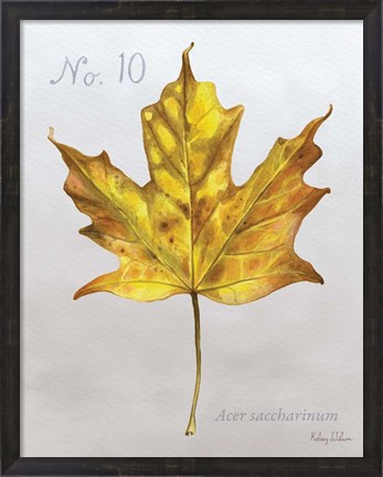 Framed Autumn Leaves on Gray I-Maple Print