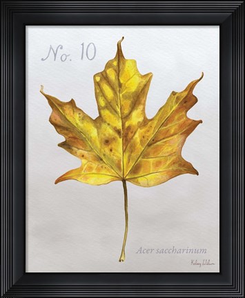 Framed Autumn Leaves on Gray I-Maple Print