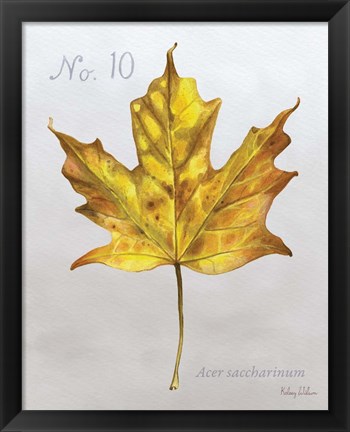 Framed Autumn Leaves on Gray I-Maple Print