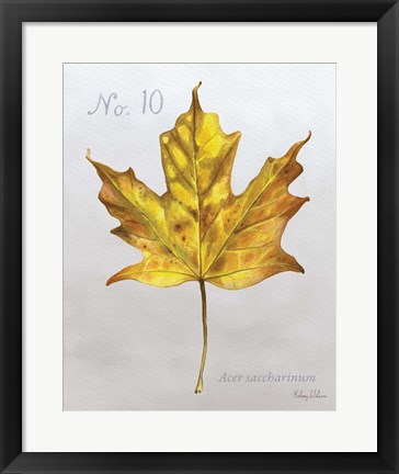 Framed Autumn Leaves on Gray I-Maple Print