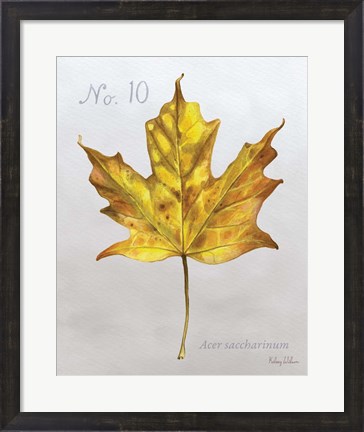 Framed Autumn Leaves on Gray I-Maple Print