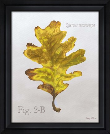 Framed Autumn Leaves on Gray III-Oak Print