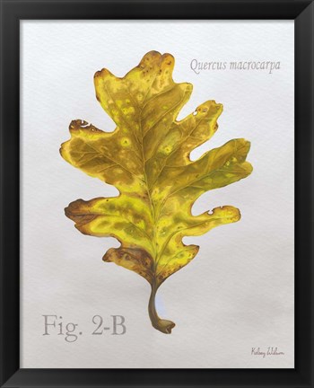 Framed Autumn Leaves on Gray III-Oak Print