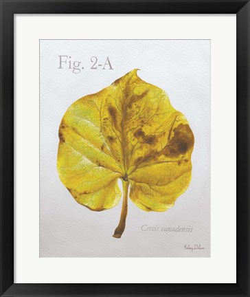 Framed Autumn Leaves on Gray IV-Redbud Print