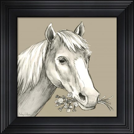 Framed Horse Print