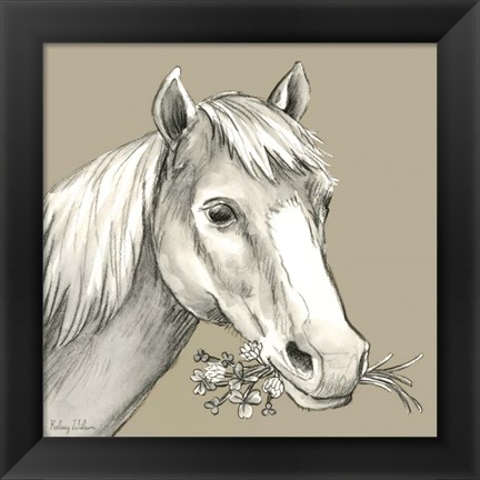 Framed Horse Print