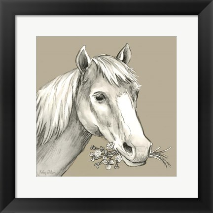 Framed Horse Print