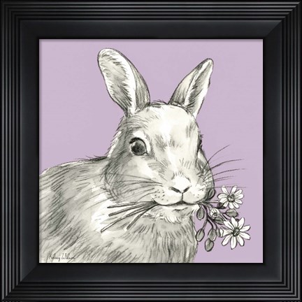 Framed Rabbit Print