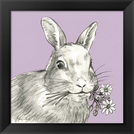 Framed Rabbit Print