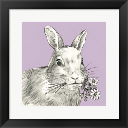 Framed Rabbit Print