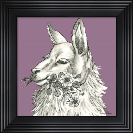 Framed Llama Print