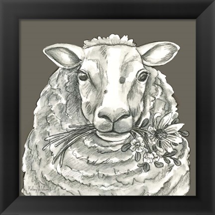 Framed Sheep Print