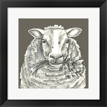 Framed Sheep Print