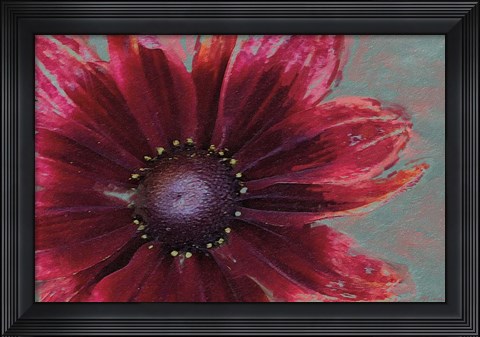 Framed Garden Dream I Print