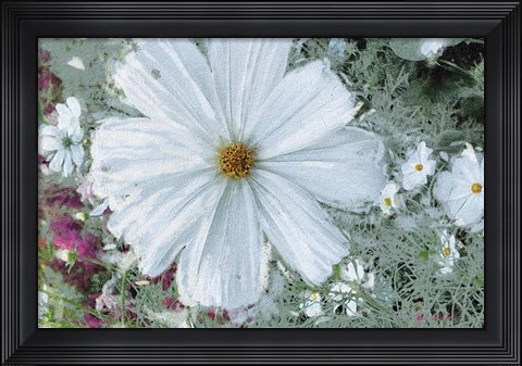 Framed Garden Dream III Print