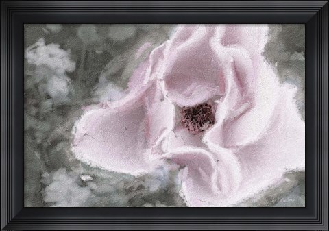 Framed Garden Dream V Print