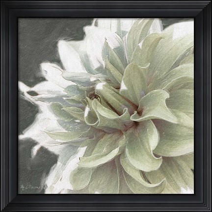 Framed Garden Dream X Print