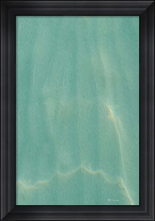 Framed Beach Shore VIII Print