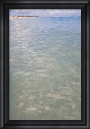 Framed Beach Shore IX Print