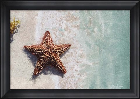 Framed Beach Shore XIV Print