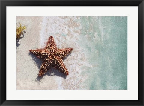 Framed Beach Shore XIV Print