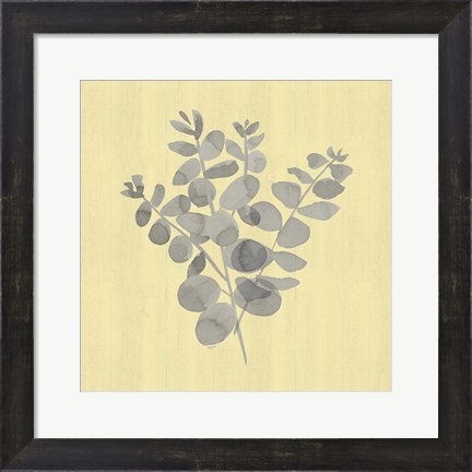 Framed Natural Inspiration Eucalyptus Gray &amp; Yellow II Print