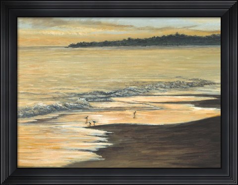 Framed Coastline Print