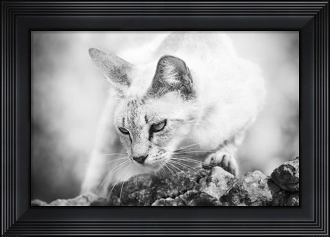 Framed Heart of a Lion Print