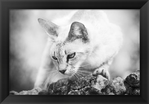 Framed Heart of a Lion Print