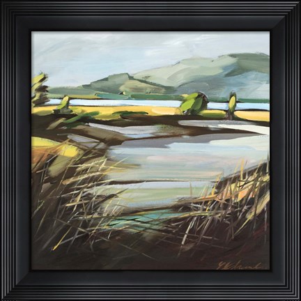 Framed Pantano Print