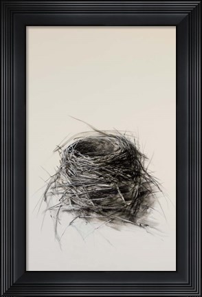 Framed Nest Print