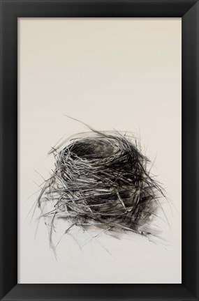 Framed Nest Print