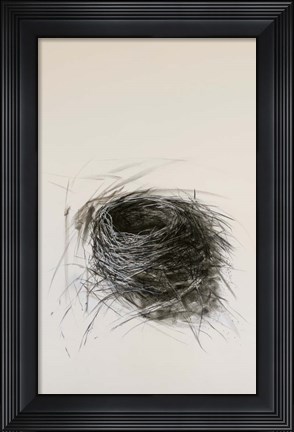 Framed Habitat Print